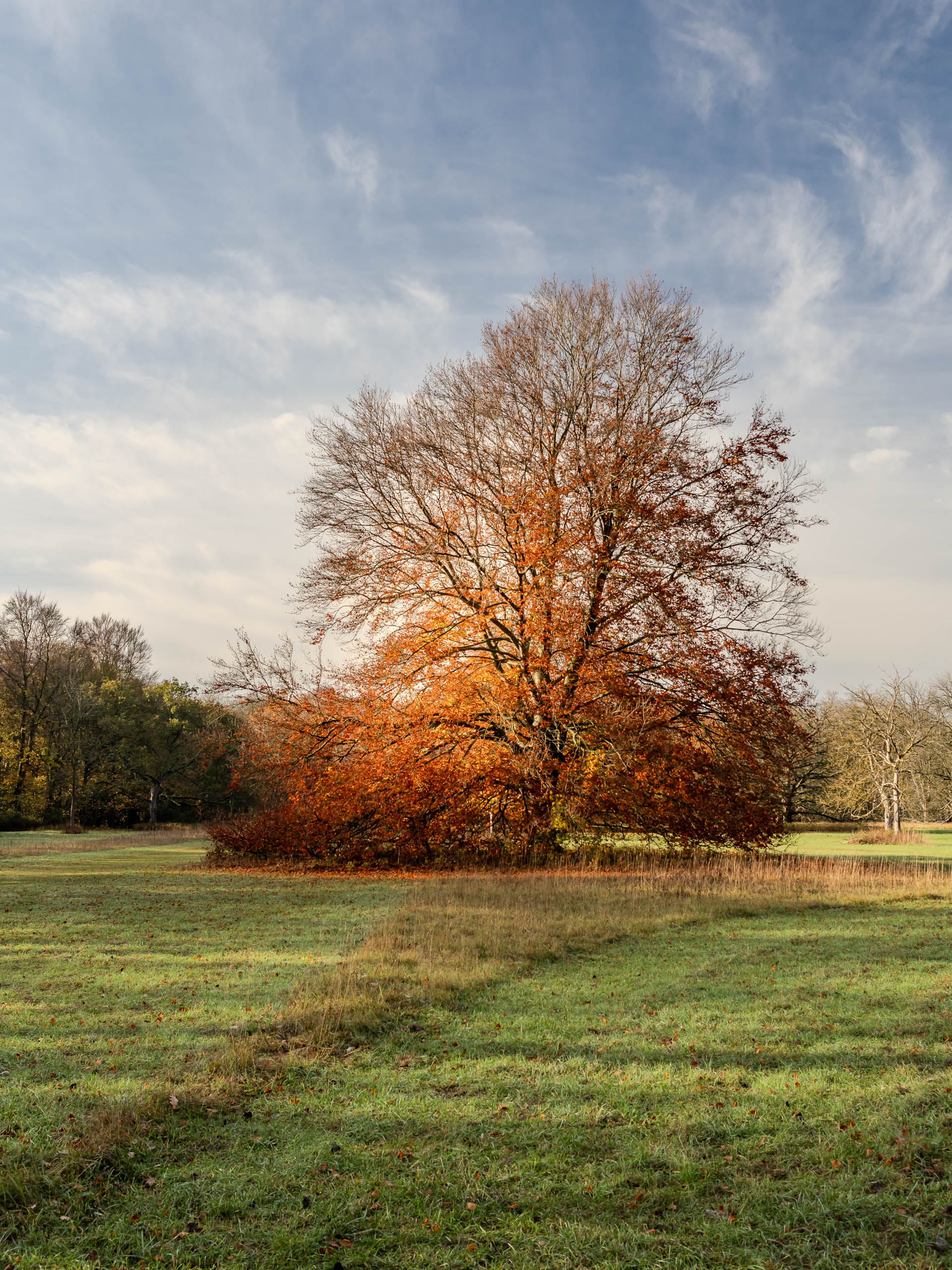 11.09 10.20.33   PB090077   HDR